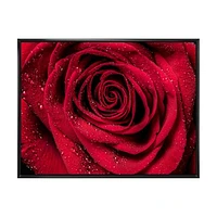 Red Rose Petals with Rain Droplets  Canvas Art Print