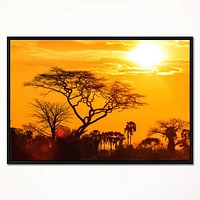 Orange Glow of African Sunset  Wall Art