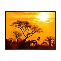 Orange Glow of African Sunset  Wall Art