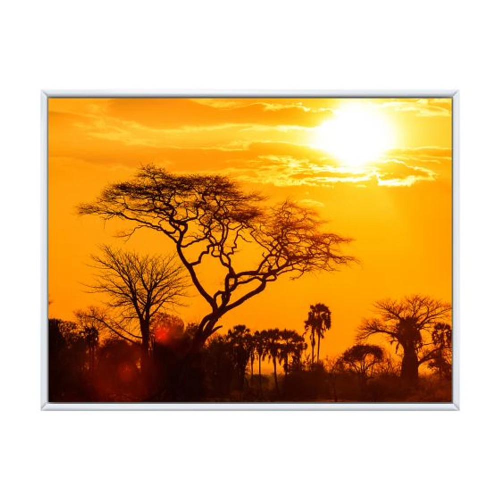 Orange Glow of African Sunset  Wall Art