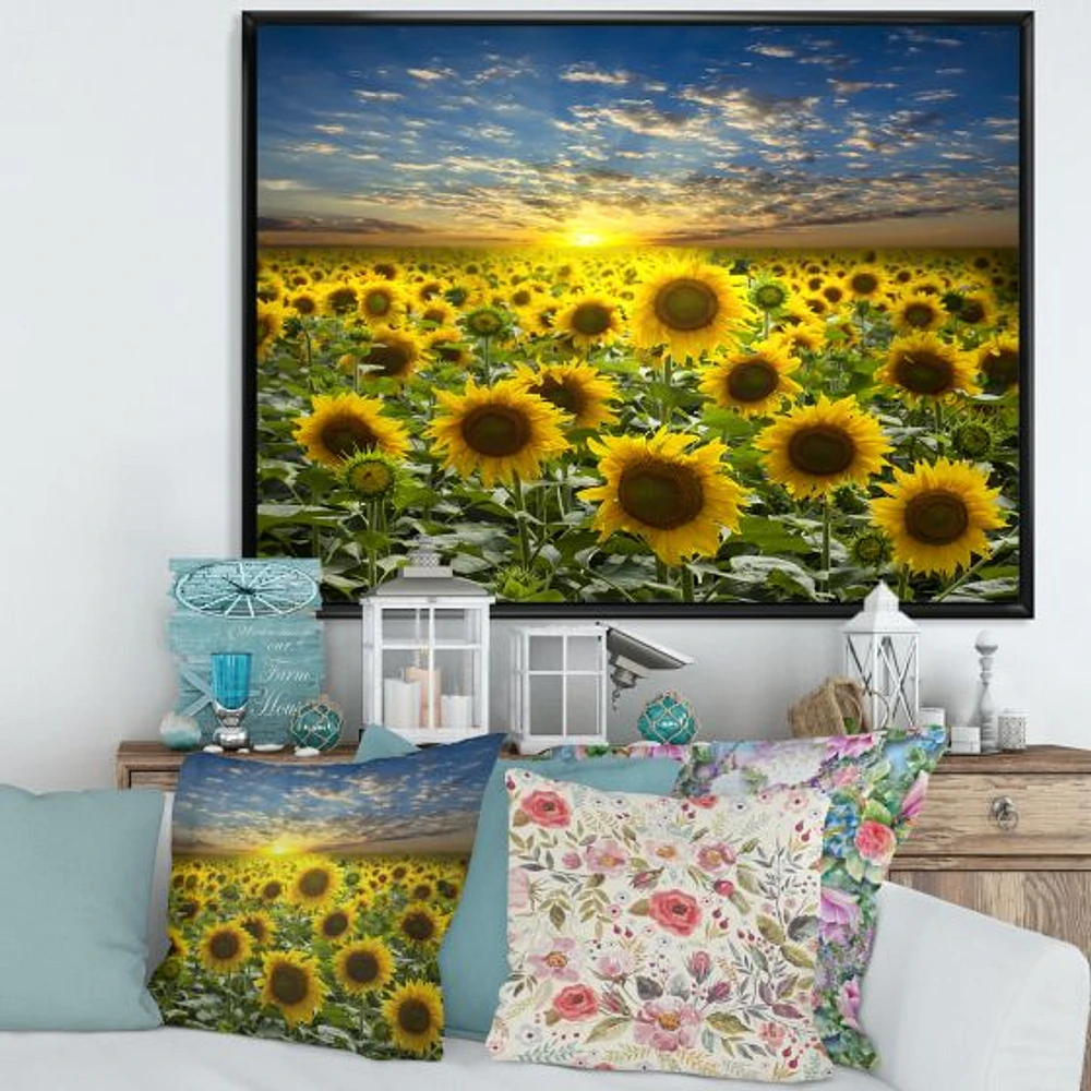 Field of Blooming SunFlowers  Canvas Wall Art