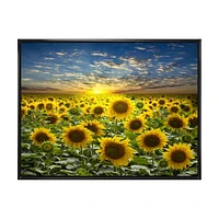 Field of Blooming SunFlowers  Canvas Wall Art