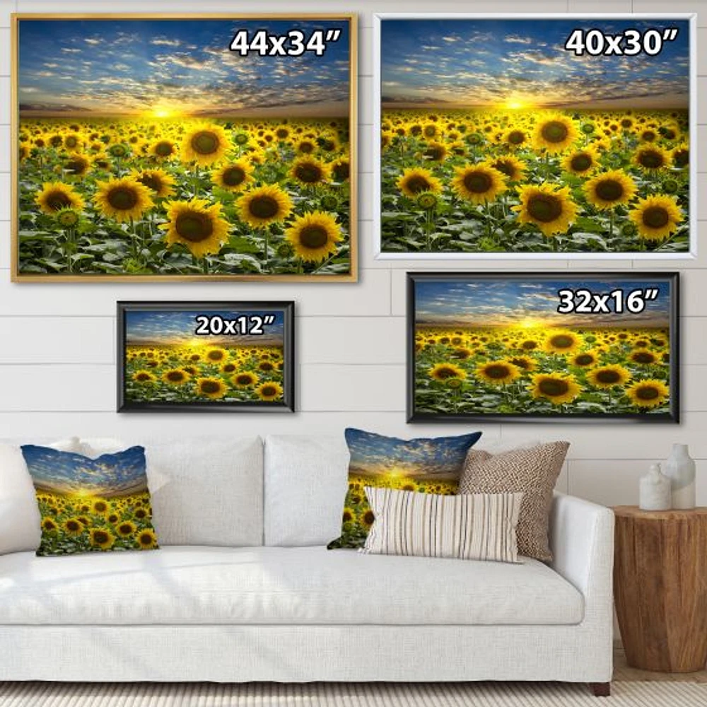 Field of Blooming SunFlowers  Canvas Wall Art