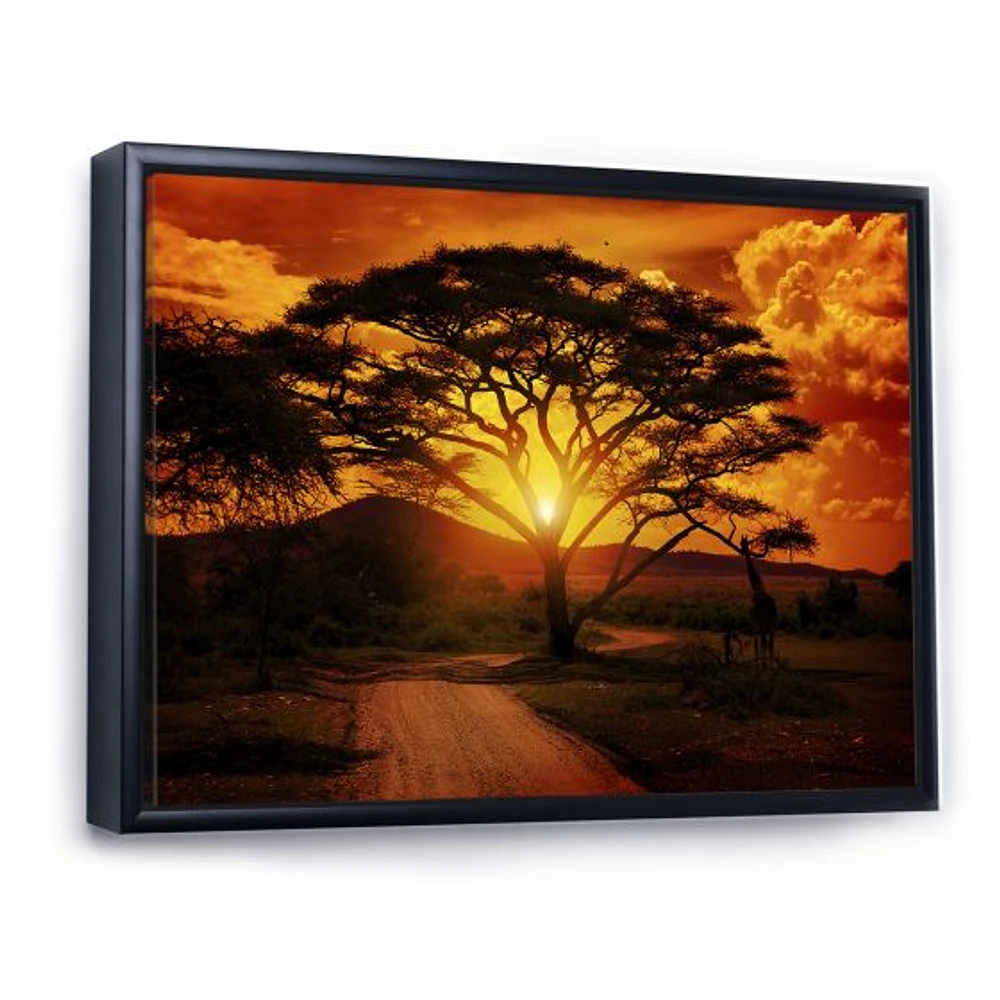 African Sunset with Lonely Tree  Wall Art