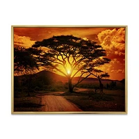 African Sunset with Lonely Tree  Wall Art