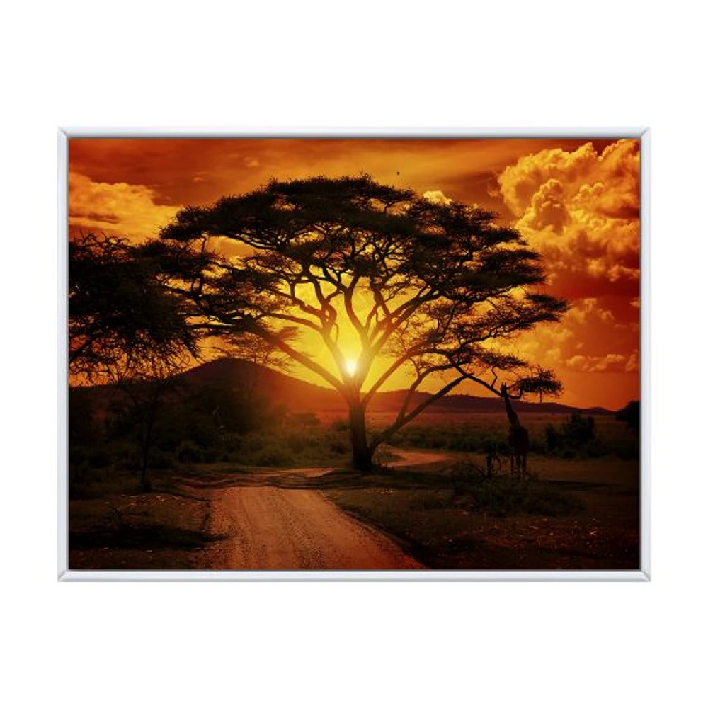 Toile « African Sunset with Lonely Tree