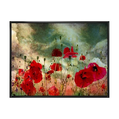 Wild Red Poppy Flowers Sky  Canvas Art Print