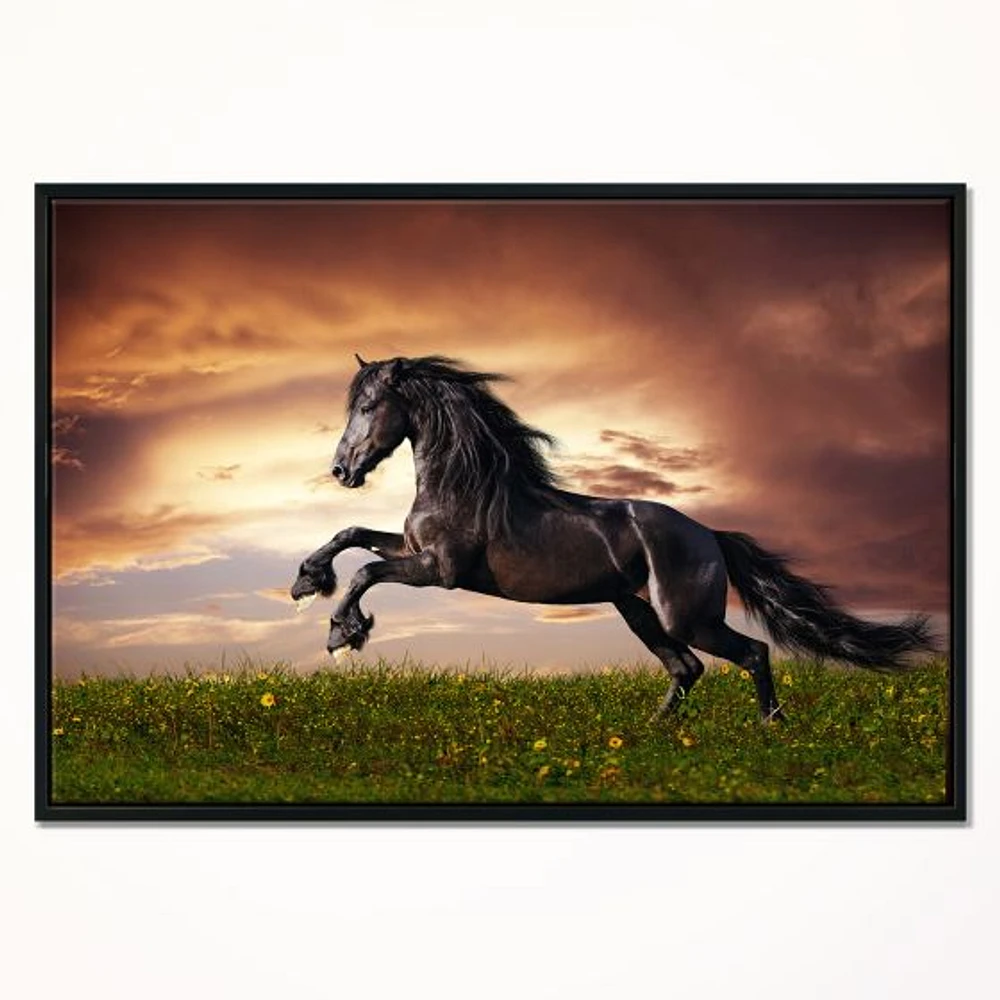 Black Friesian Horse Gallop  Wall Art