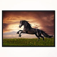 Black Friesian Horse Gallop  Wall Art