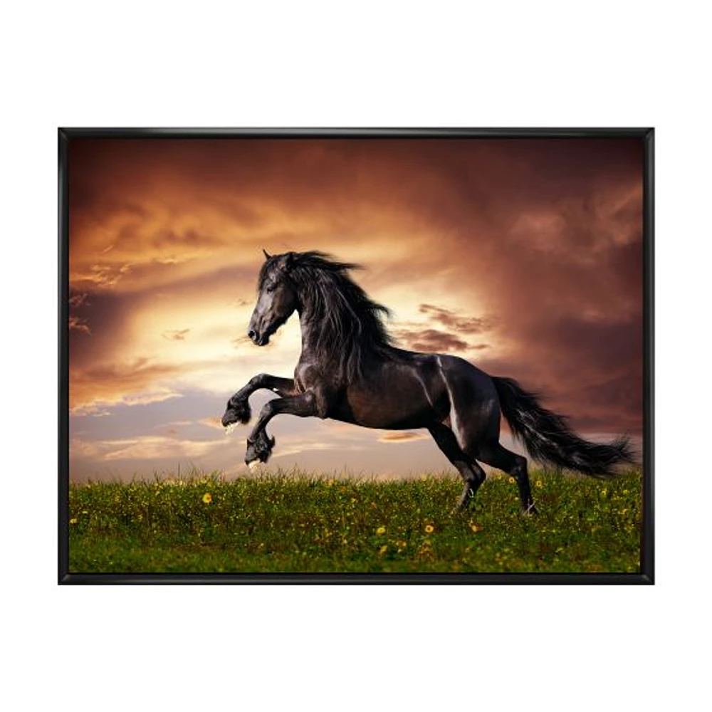 Black Friesian Horse Gallop  Wall Art