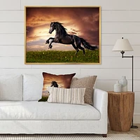 Black Friesian Horse Gallop  Wall Art