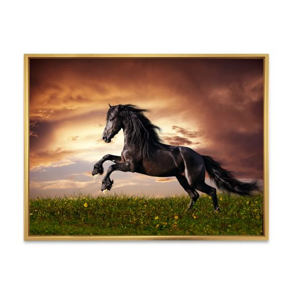 Black Friesian Horse Gallop  Wall Art