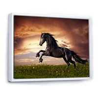 Black Friesian Horse Gallop  Wall Art