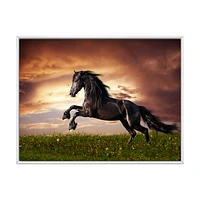 Black Friesian Horse Gallop  Wall Art