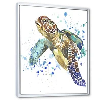 Blue Sea Turtle  Canvas Art Print