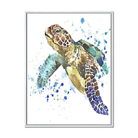 Blue Sea Turtle  Canvas Art Print