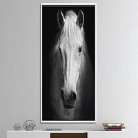 White Horse Black and  Wall Art