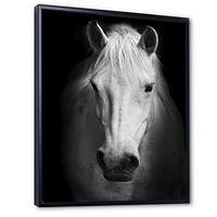 White Horse Black and  Wall Art