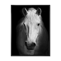 White Horse Black and  Wall Art