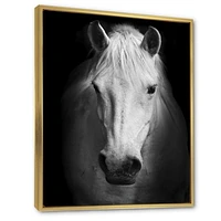 White Horse Black and  Wall Art