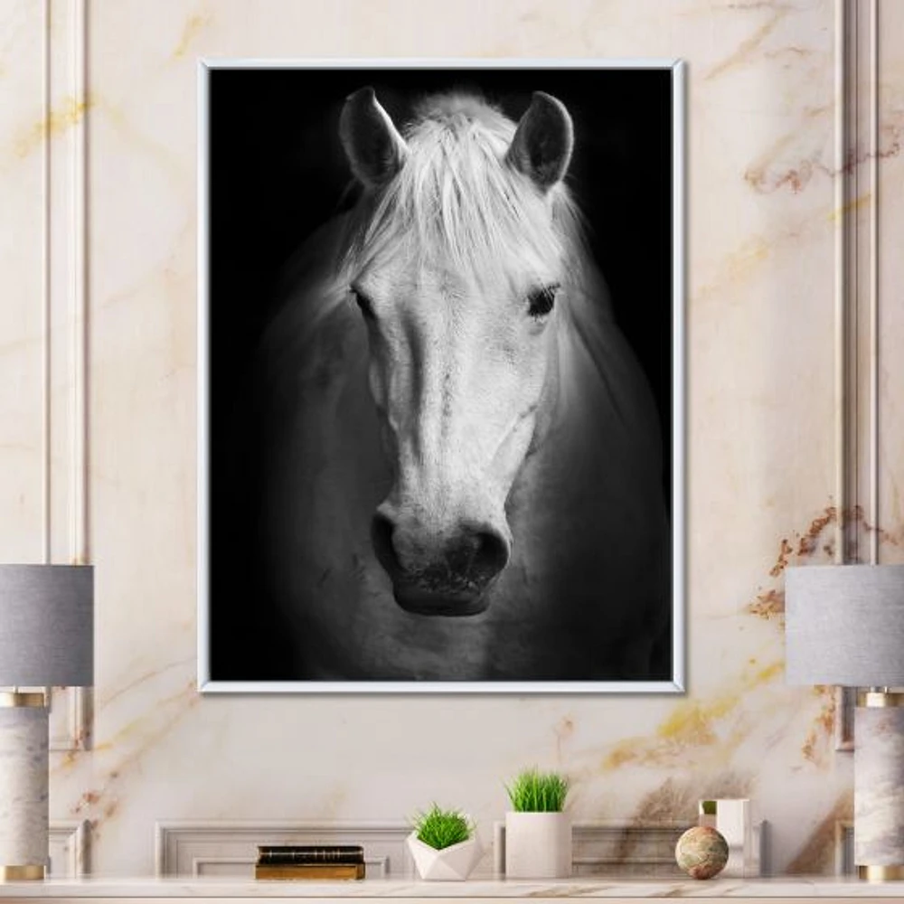 White Horse Black and  Wall Art