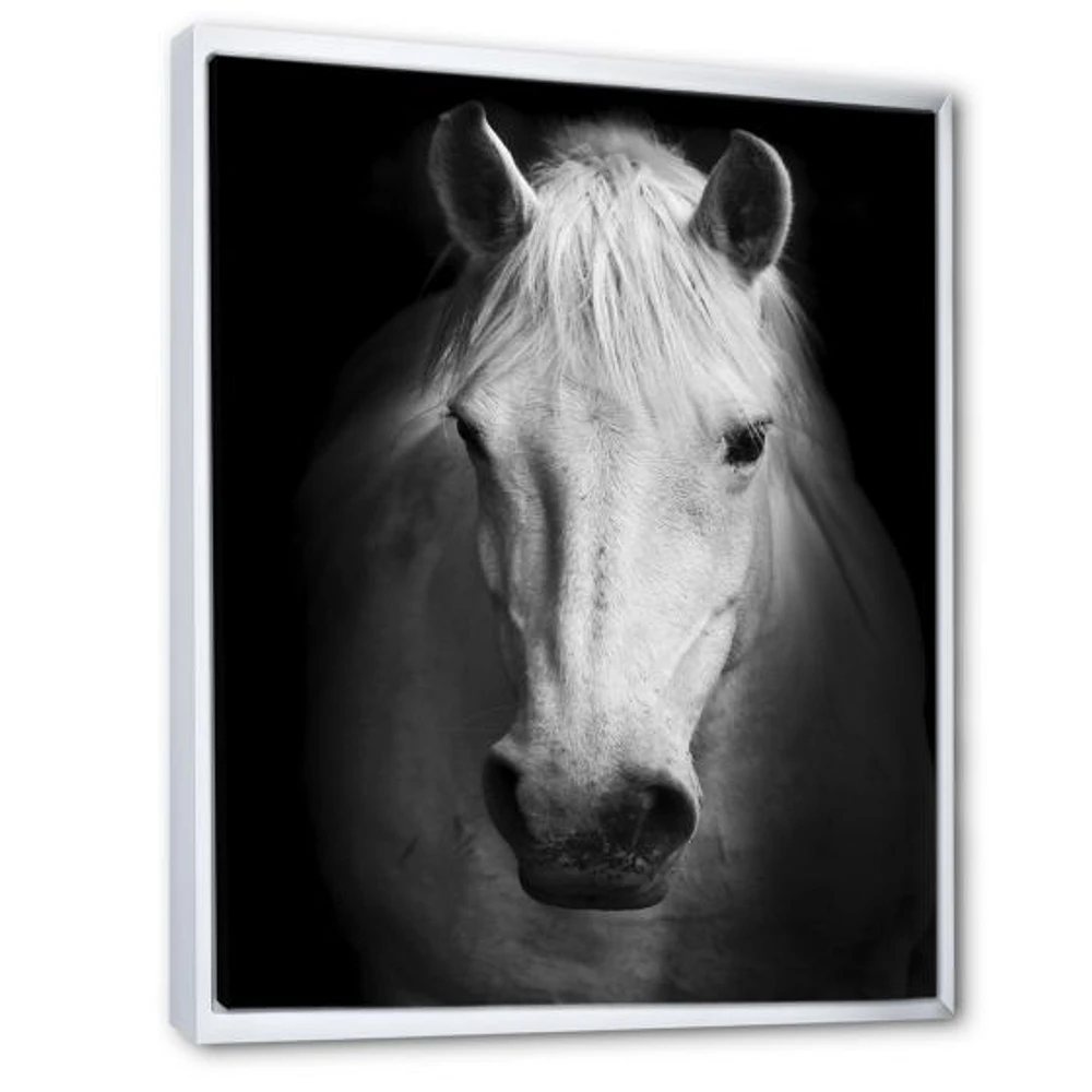 White Horse Black and  Wall Art