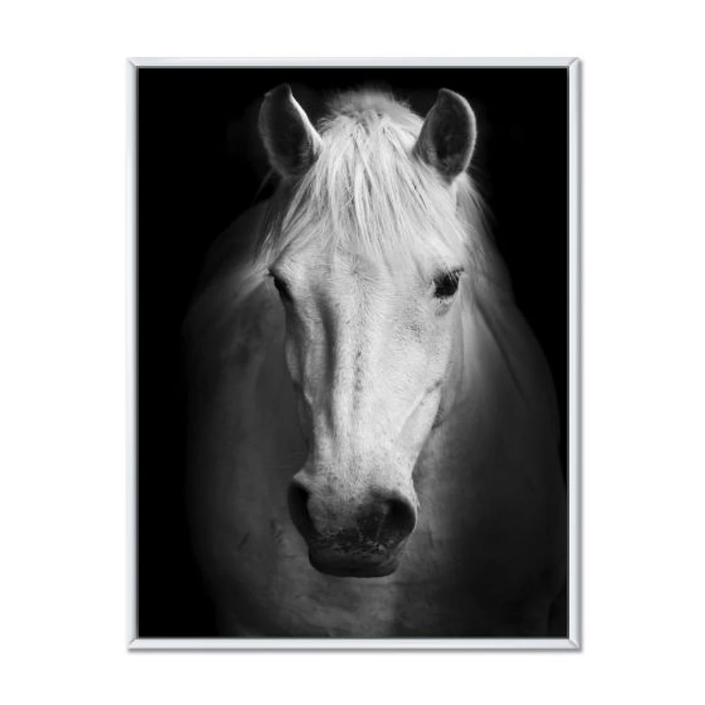 White Horse Black and  Wall Art