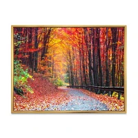 Toile « Road Beautiful Autumn Forest »