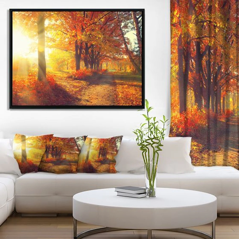 Autumnal Trees Sunrays Wall Art