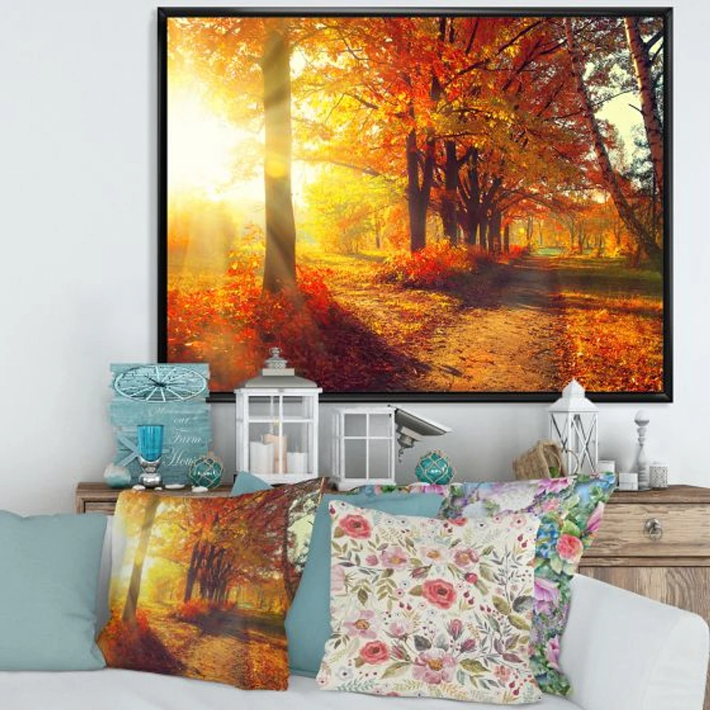 Autumnal Trees Sunrays Wall Art