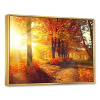 Autumnal Trees Sunrays Wall Art