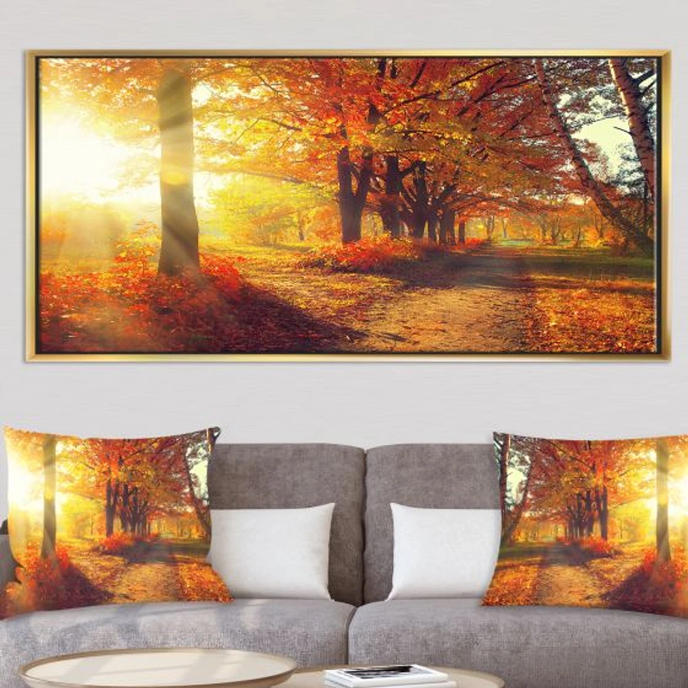 Autumnal Trees Sunrays Wall Art