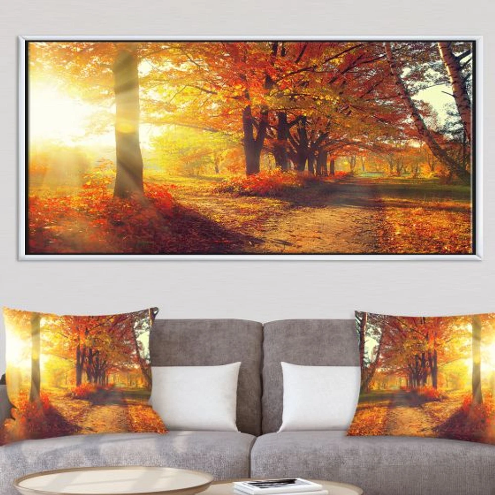 Autumnal Trees Sunrays Wall Art