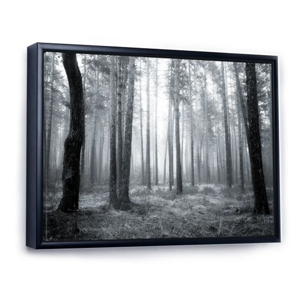 Toile « Black and White Foggy Forest