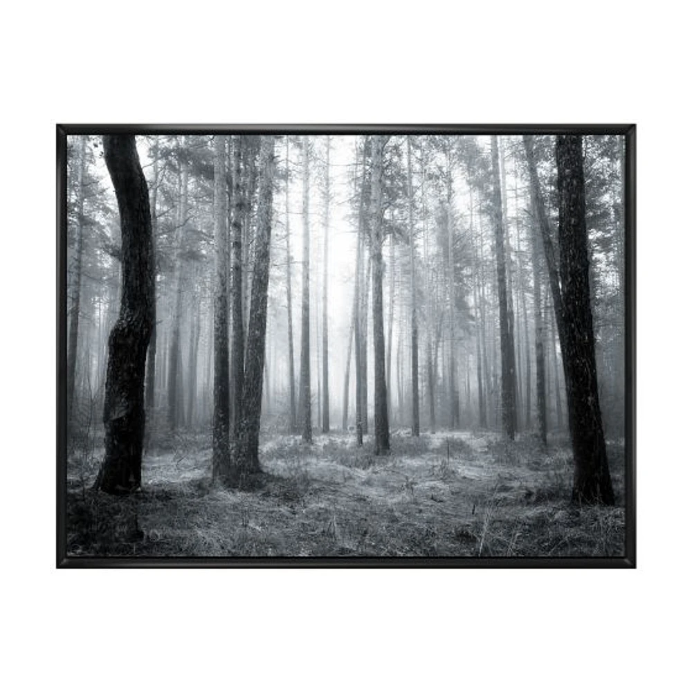 Toile « Black and White Foggy Forest