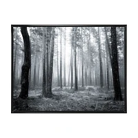 Black and White Foggy Forest Canvas Wall Art