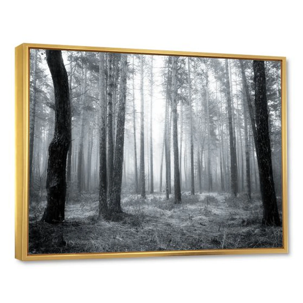 Toile « Black and White Foggy Forest