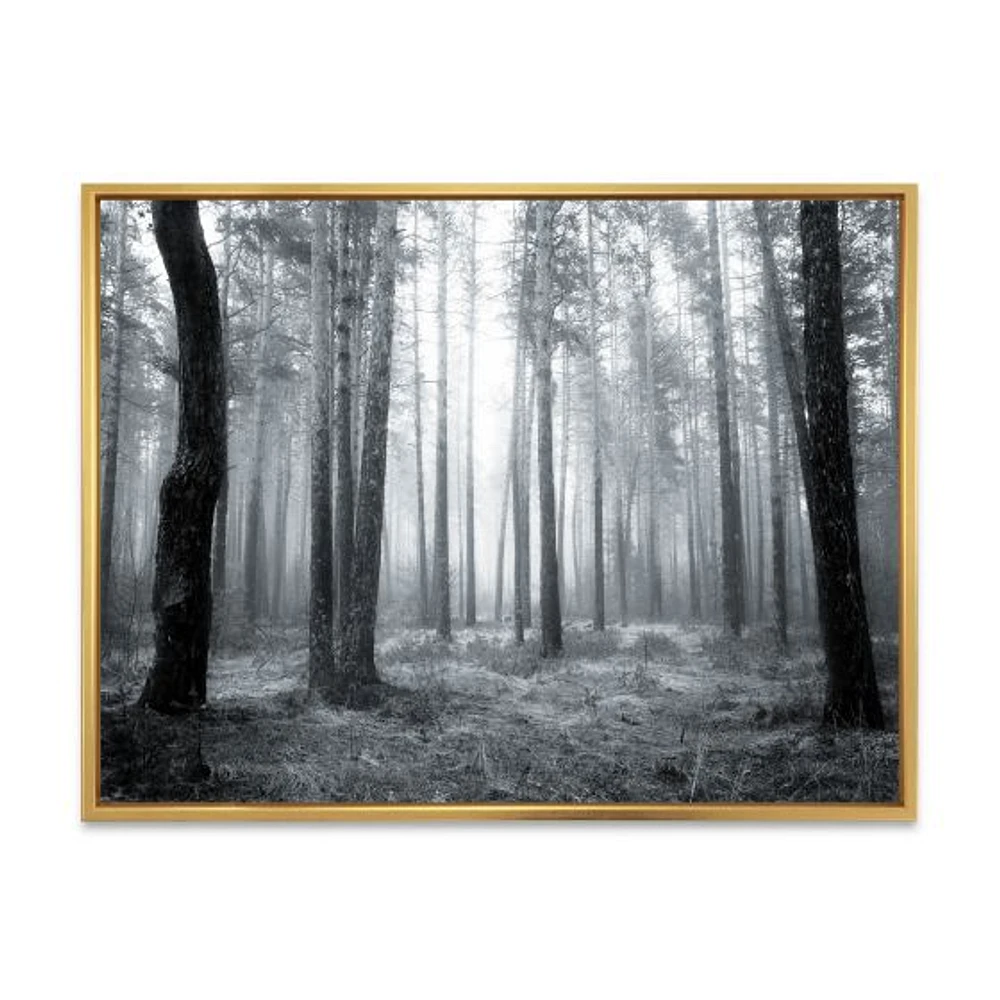 Toile « Black and White Foggy Forest