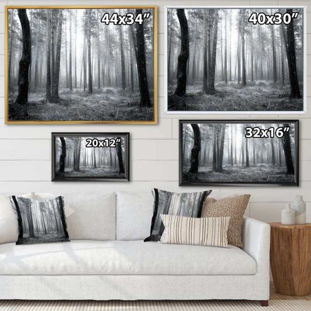 Toile « Black and White Foggy Forest