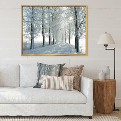 Winter Trees Backlit by Morning Sun  Wall Art