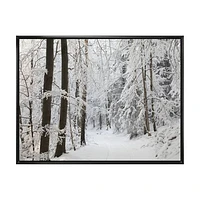 Dense Winter Forest and Lane  Wall Art