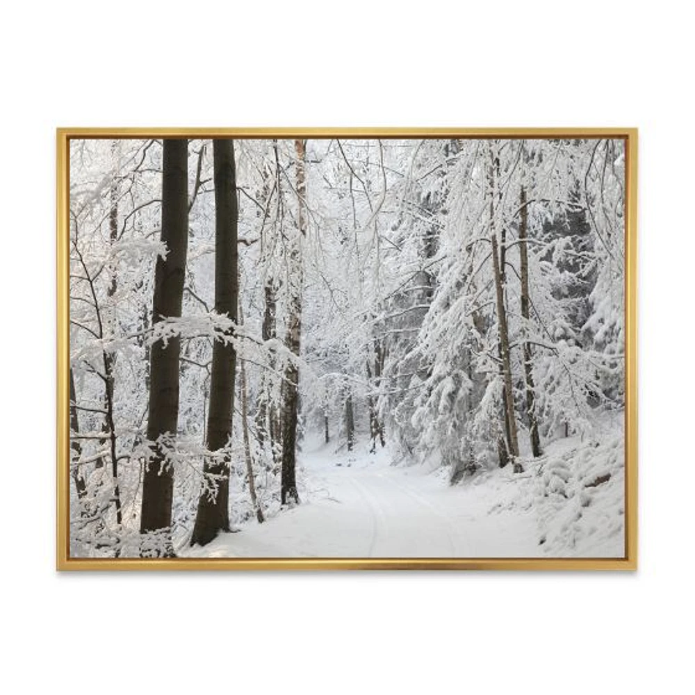 Dense Winter Forest and Lane  Wall Art