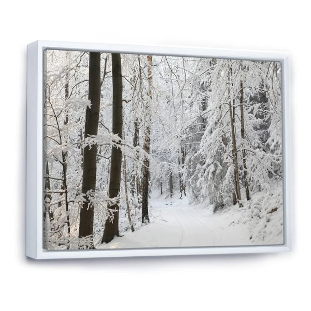 Dense Winter Forest and Lane  Wall Art