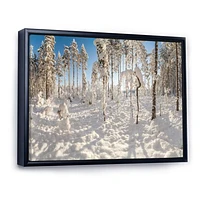 Winter Snow Covered Wood  Wall Art