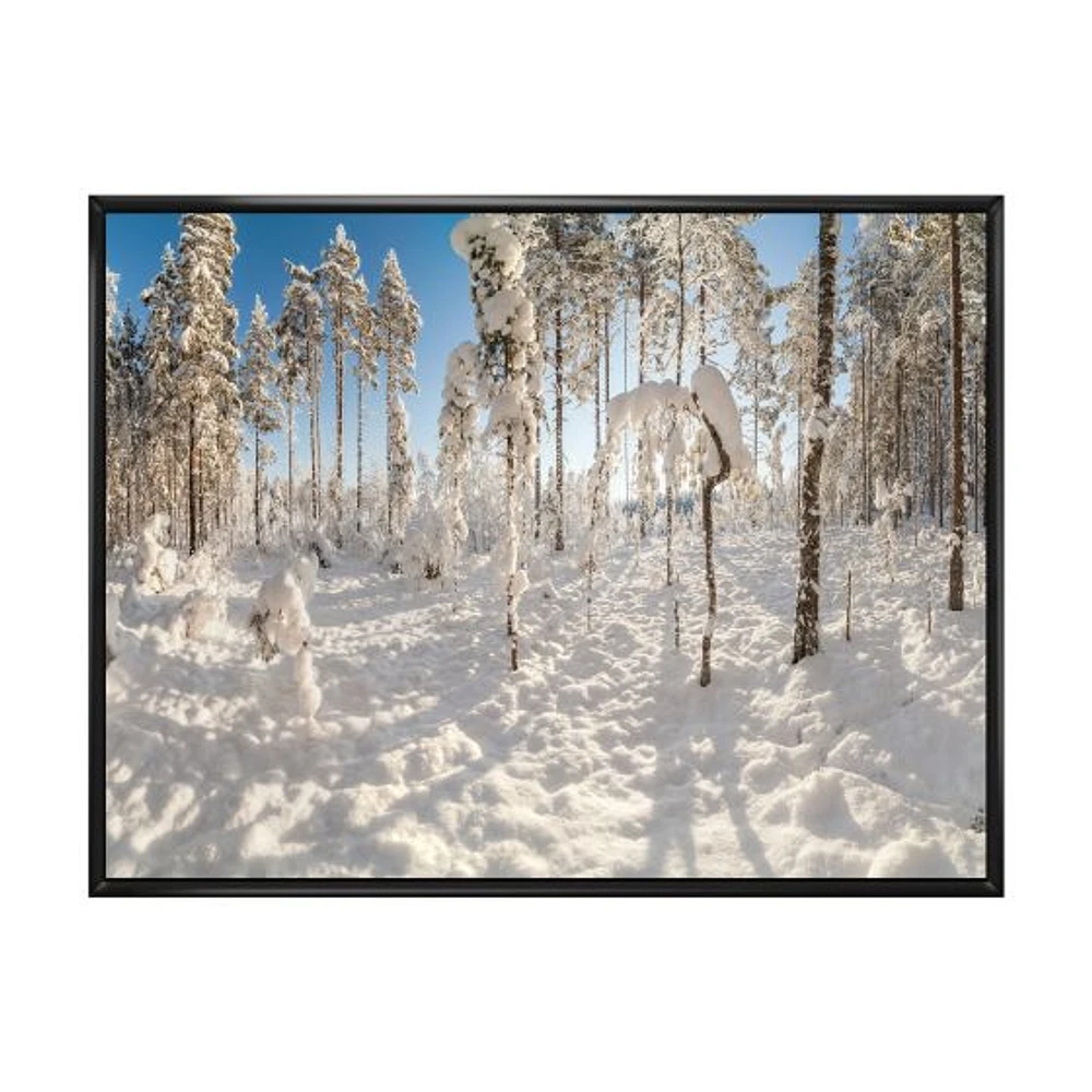 Winter Snow Covered Wood  Wall Art