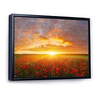 Poppy Field under Bright Sunset  Wall Art