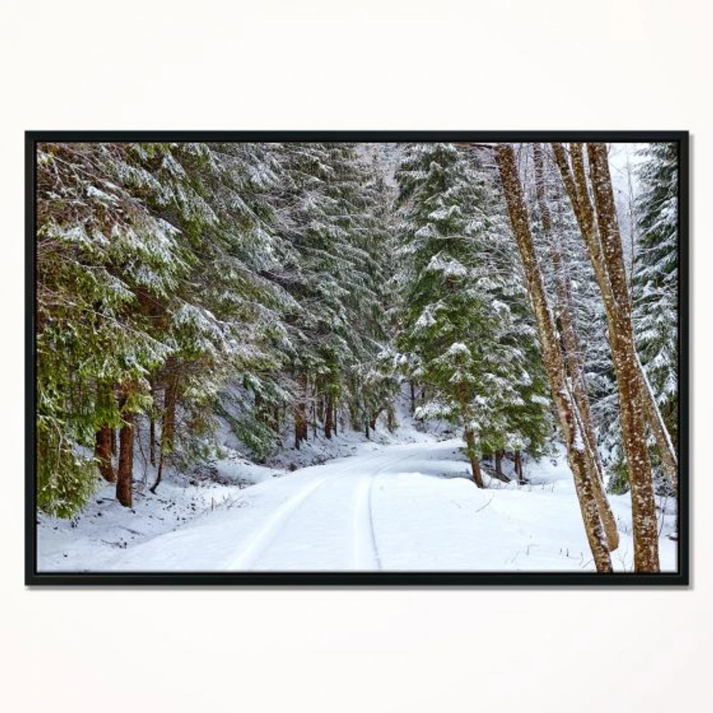 Snowy Road the Forest  Wall Art