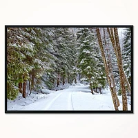 Snowy Road the Forest  Wall Art