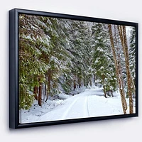 Snowy Road the Forest  Wall Art