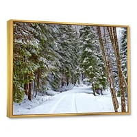 Snowy Road the Forest  Wall Art